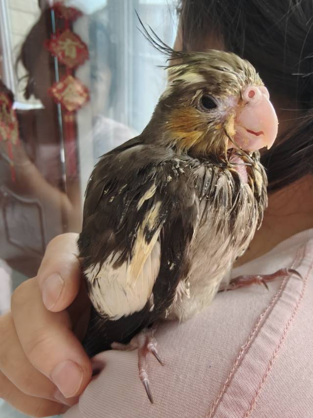 症状描述图片