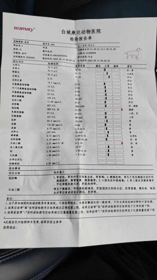 症状描述图片