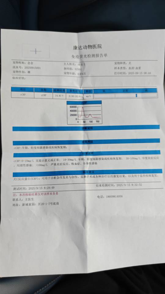 症状描述图片