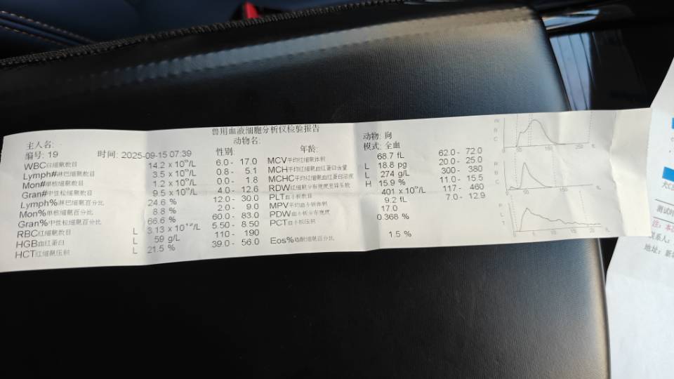 症状描述图片