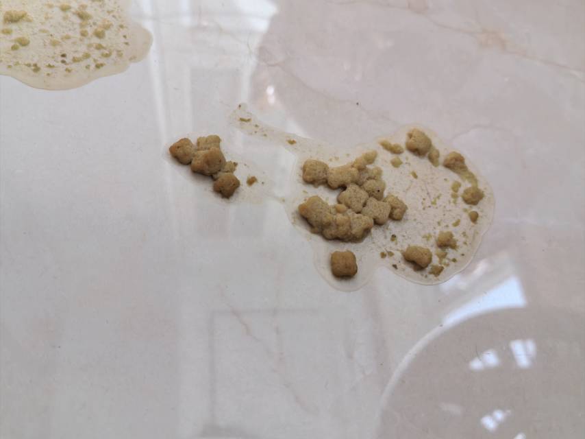 症状描述图片