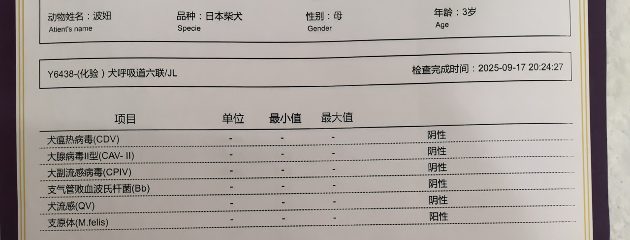 症状描述图片