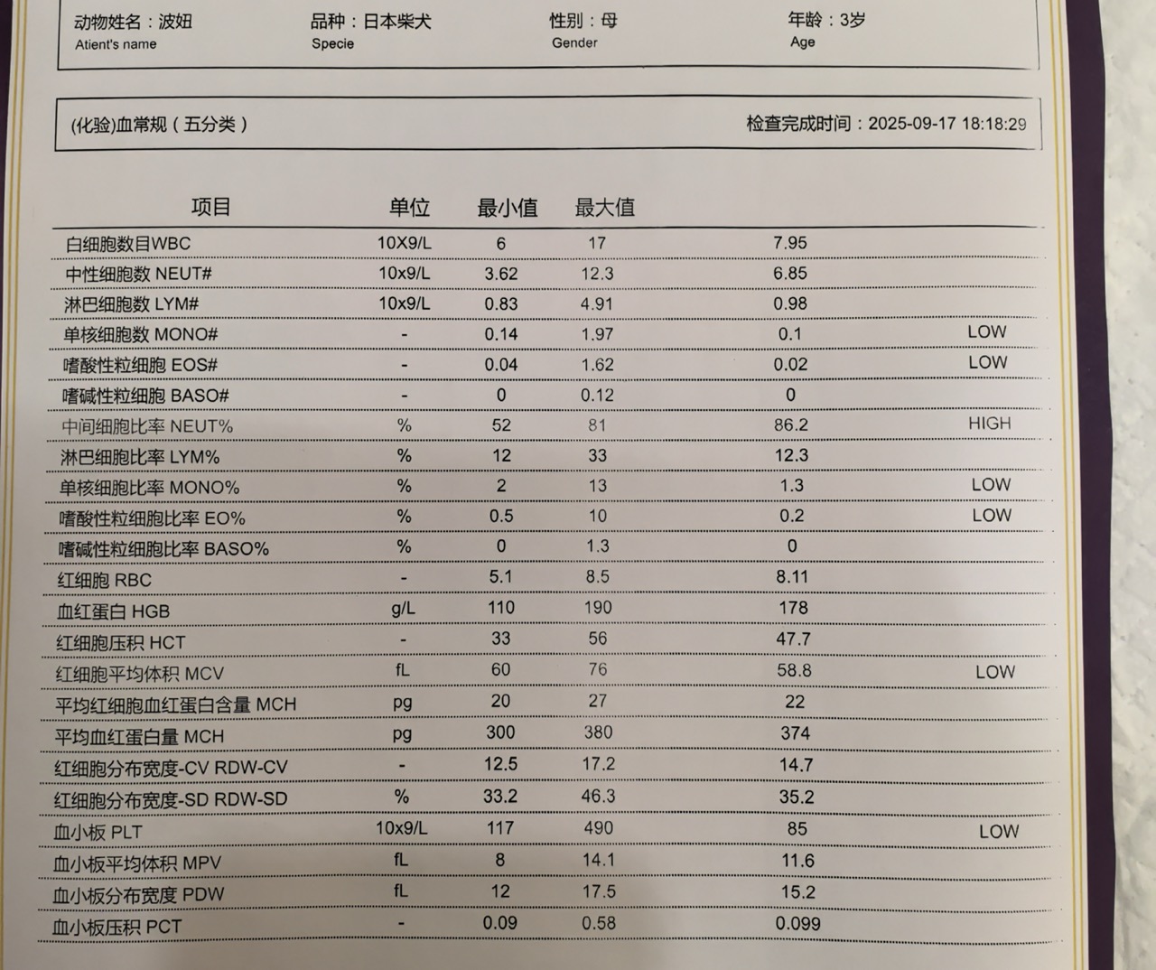 症状描述图片